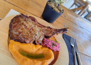 Μοσχαρίσια σπαλομπριζόλα με πουρέ λαχανικών εποχής & σαλάτα γιαούρτι-παντζάρι - Beef steak with seasonal vegetable puree & yogurt-beetroot salad